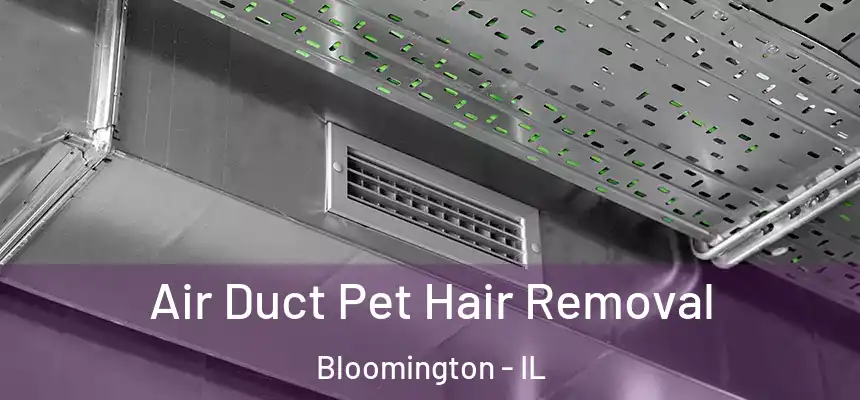  Air Duct Pet Hair Removal Bloomington - IL