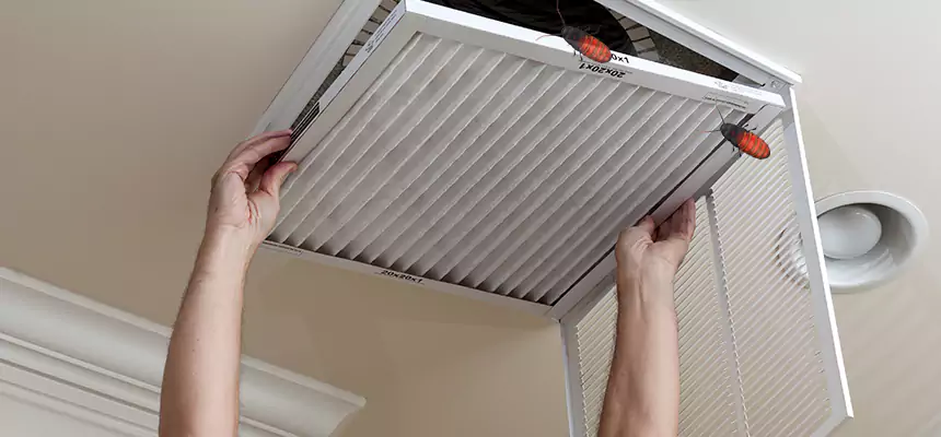 Preventive Cockroach-Proofing for Ducts in Bloomington
