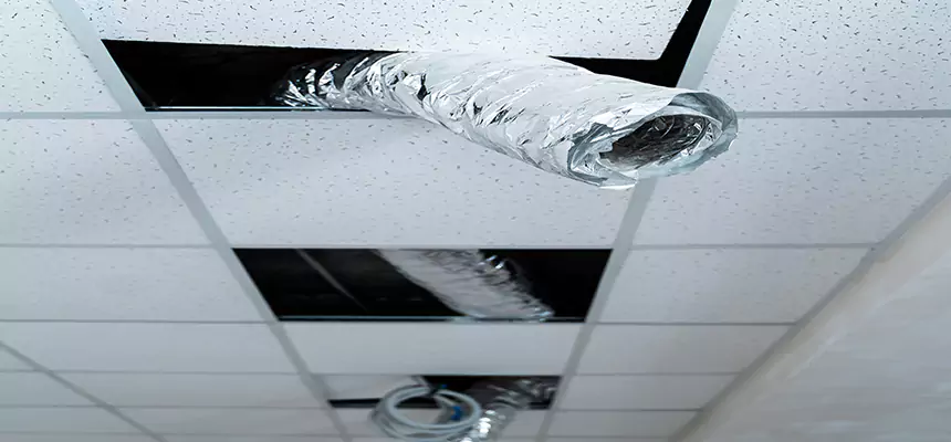 Our Air Duct Pet Hair Removal Services in Bloomington, IL