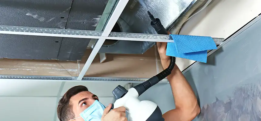 Our Air Duct Rodent Removal Services in Bloomington, IL