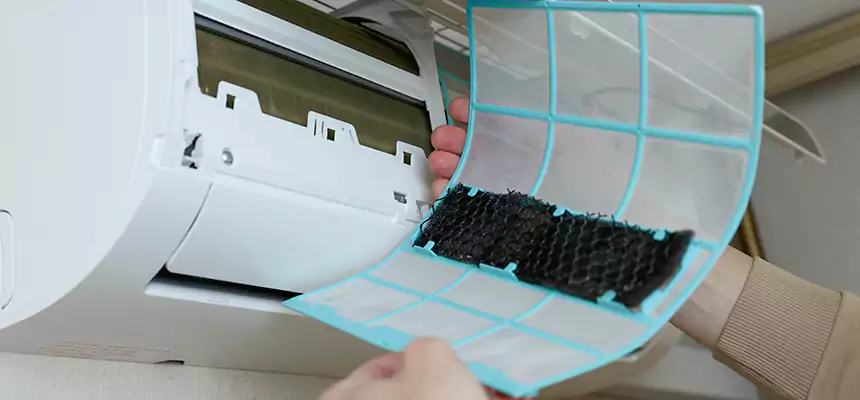 Gentle Ductwork Odor-Control Pet Dander Duct Cleaning in Bloomington, IL