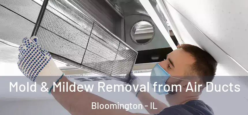  Mold & Mildew Removal from Air Ducts Bloomington - IL
