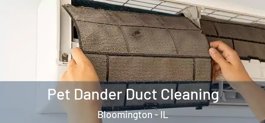 Pet Dander Duct Cleaning Bloomington - IL