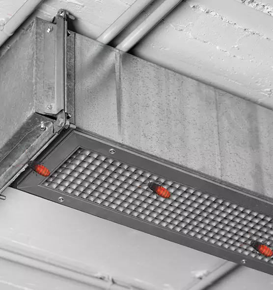 About Air Duct Cockroach Removal in Bloomington, IL