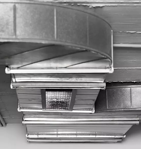 Professional Air Duct Pet Hair Removal in Bloomington, IL