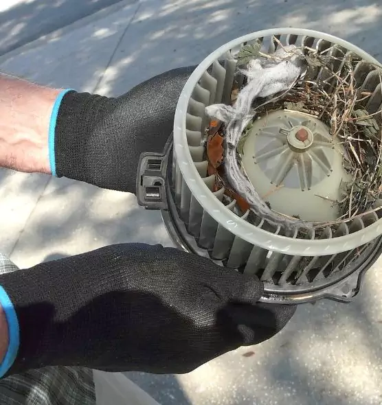 About Air Duct Rat Removal in Bloomington, IL