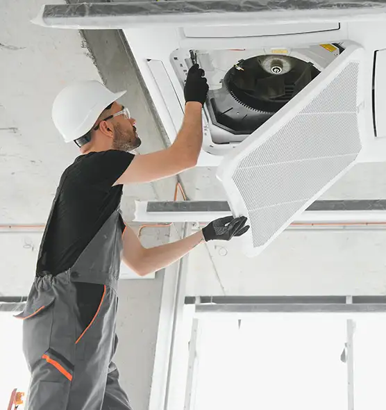 About Air Duct Rodent Removal in Bloomington, IL