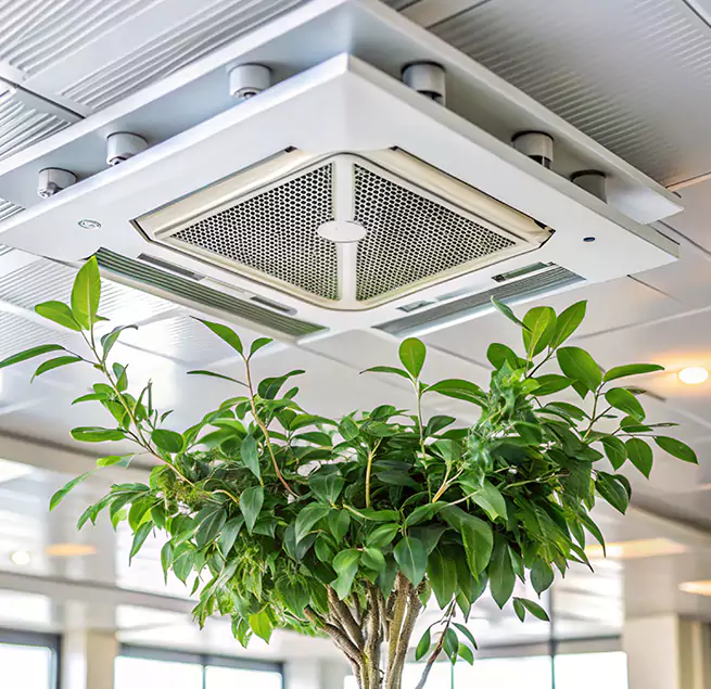 Why Homeowners & Businesses Trust Us in Bloomington, IL?